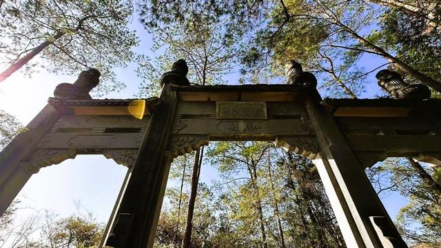 到武夷山国家公园，赴一场山水之约