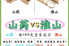山药和淮山虽然名字相似，但实际却大相径庭图片