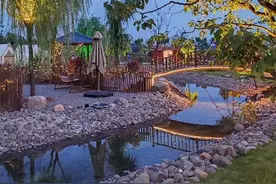 郑州有个现实版“绿野仙踪”，等你来体验！图片