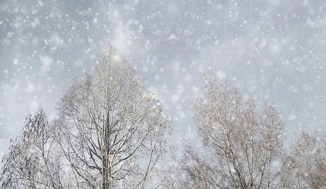 北海道市民直传!冬季雪地行走需注意事项、服装挑选、不滑倒技巧