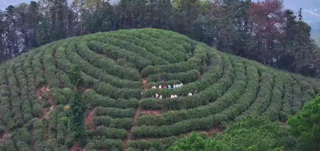 地名里的重庆 | 铜梁巴岳山：从巴川名山到天然氧吧