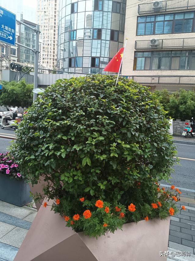 长假去网红景点的人，是不是都在花钱买罪受？