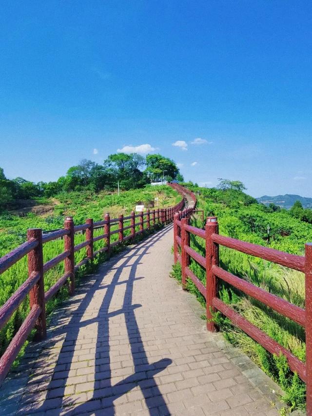 成都市区龙泉山徒步限定奖牌，公交直达0费用！