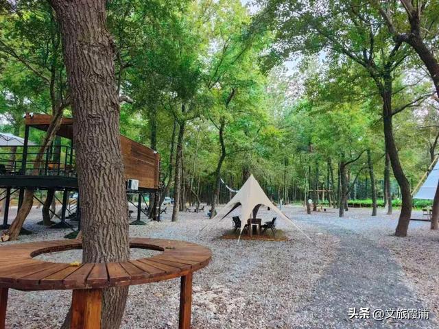 当北纬27°的风穿过枫林,我在渡头村撞见了一场自然的浪漫剧场