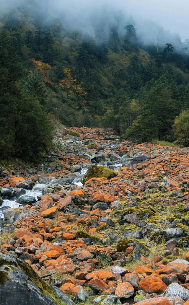 喇叭河五彩斑斓的秋天，就这样闯闯闯入视野！
