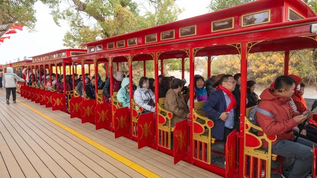 额济纳旅游市场持续升温！各景点人气火爆～