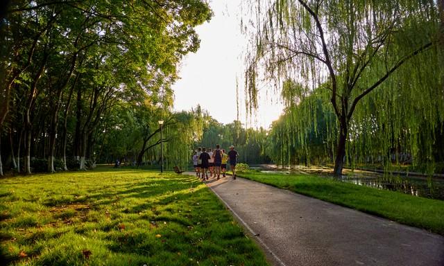 慢速跑者的逆袭：当"龟速"成为都市运动新时尚