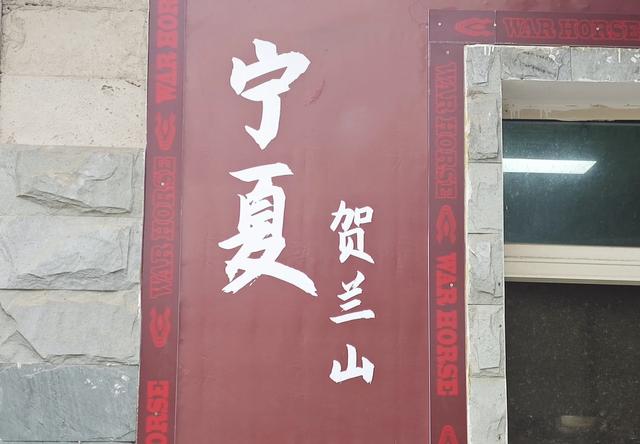 山西及周边随意行之贺兰山 12
