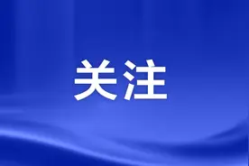 “定制服务”解锁企业出口马来西亚新机遇图片