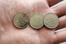“1元硬币”涨了33万倍！这3种类型，谁有？图片
