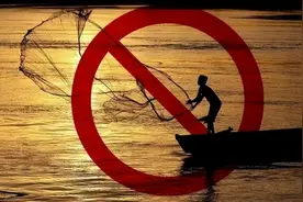 三峡大坝下出现巨鱼，专家立刻提议禁止捕捞，这是好现象吗？图片