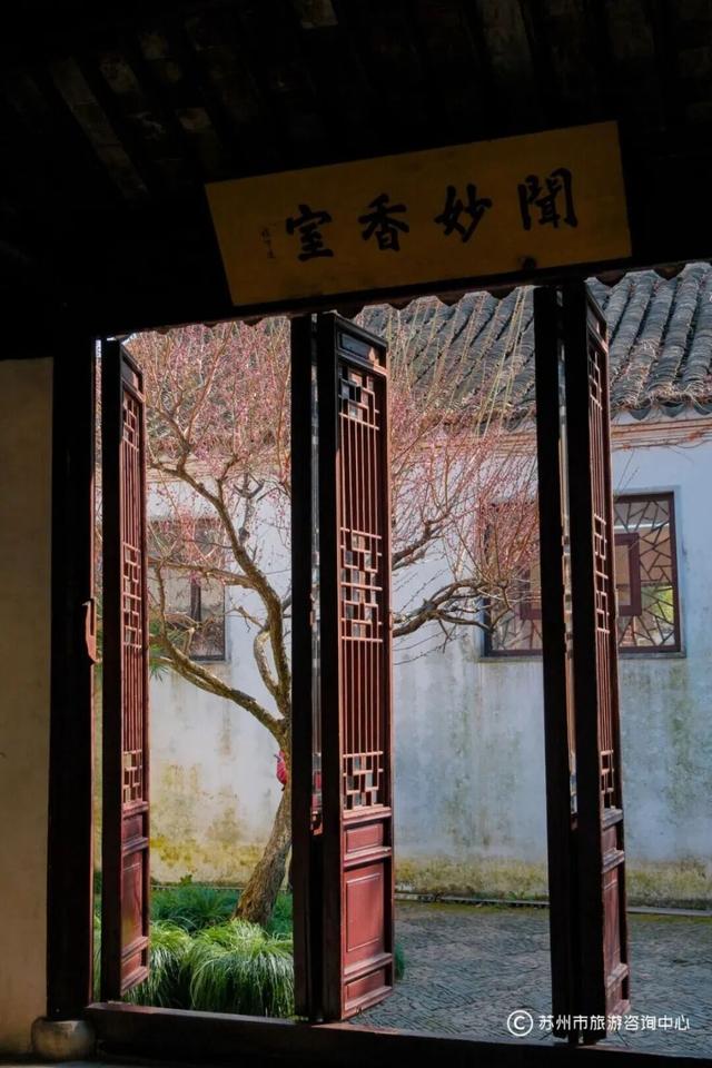 @林屿森，从苏州图书馆出发，去看看冬日书香苏城