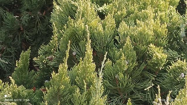 现代文学院==失去