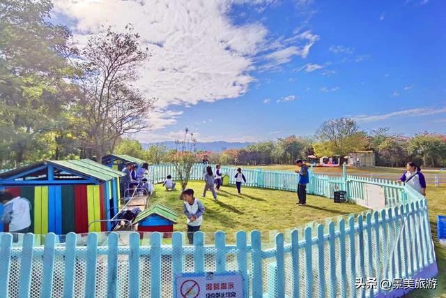 岭南冬如春，童趣蝶翩跹，学子来到佛山卡玛花世界开启蝴蝶研学