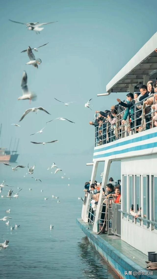 太湖水质，历史最优！