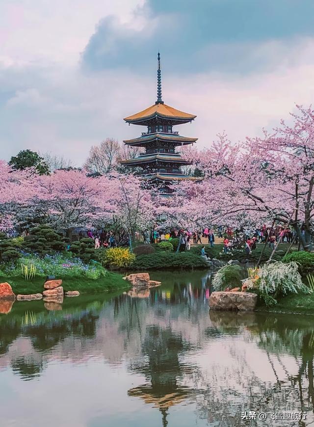 春暖花开，正是赏花好时节，这份三月赏花路线图请收好