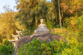 道、法、术、器、势的智慧（建议收藏）图片