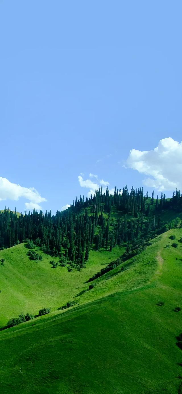 手机壁纸|清新盎然的自然风光美景