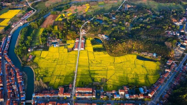 看不完，根本看不完！