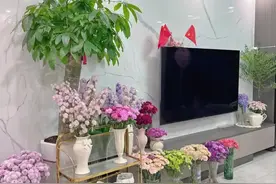 20大“吉祥花”，建议至少养一盆，大气又干净，旺家旺气运图片