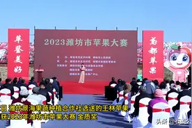 2025年3月9日下午山东省考公务员面试题解析（作者：李石）图片