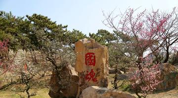 别再只去海边了！李沧这10个神仙公园，遛娃、拍照、洗肺全搞定