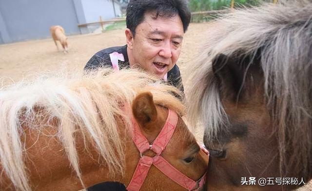 钱再多有什么用？官方出手揭开于谦真实现状，终是步上何炅的老路