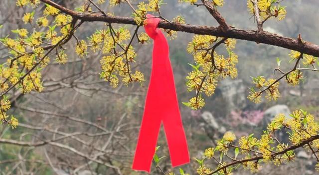 春风裂谷·花漾寻野 | 清明假期，熊耳山邀你共赴一场江湖侠梦！