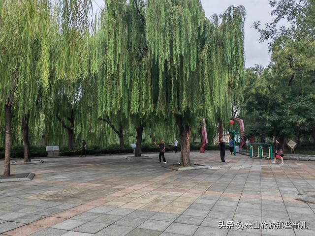 泰安：南湖公园人潮如织，十二莲桥美轮美奂，老夫妇的话让人深思