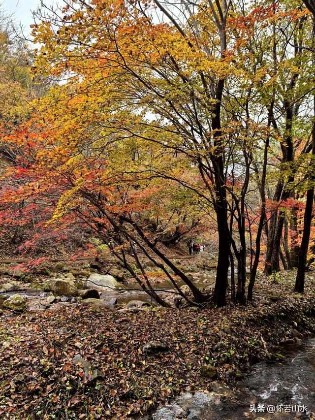 2025辽宁赏秋之旅日记(3)——游览洋湖沟和老边沟