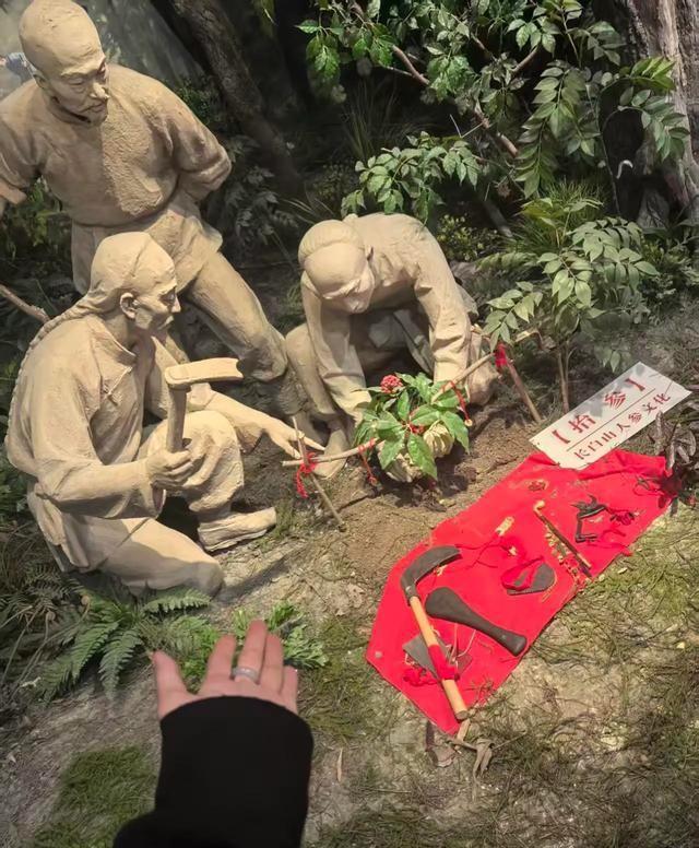 杨幂去延吉旅行，她站在玉米地里拍照，她还去了抗日博物馆！