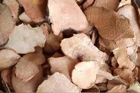 牛皮癣是风、热、瘀在体内作祟， “三邪” 不祛，很难治愈图片