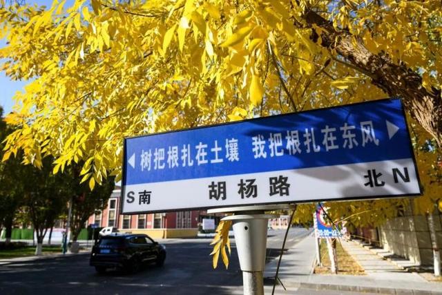 额济纳：最好牧场为航天 大漠深处写忠诚