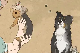 狗为什么会朝着没人的地方狂吠？是看到了不干净的东西吗？图片