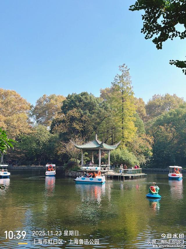 沿着鲁迅的足迹，赏上海秋日美景