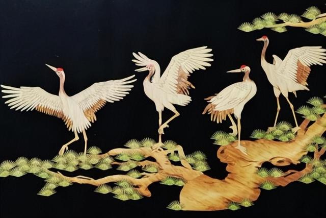 许昌⇄保定，双向奔赴