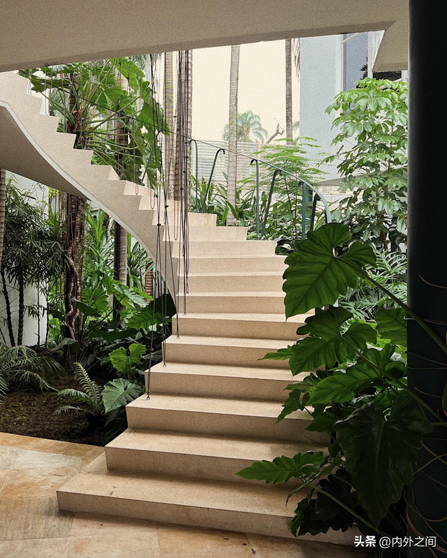 美学散步，行走间的静谧