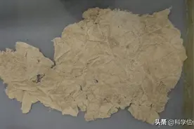 纸是怎么做出来的？从手工到工业化生产，千年纸张进化史图片