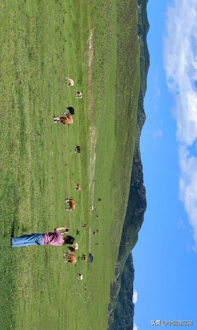 夏天，请到山地草原来