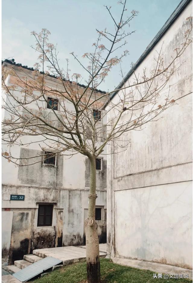 谁说深圳无古色？两座古城+四条古墟+十个古村，鹏城古色别样美