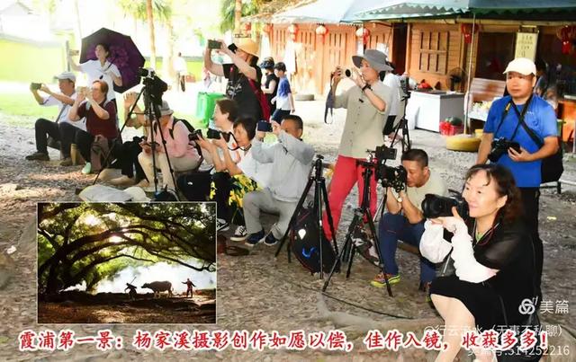 彩色旅图|光影里的霞浦:滩涂、古树与渔排的诗意时光