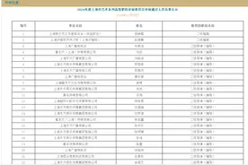2024最受关注演员马伊琍获评“一级演员”职称图片