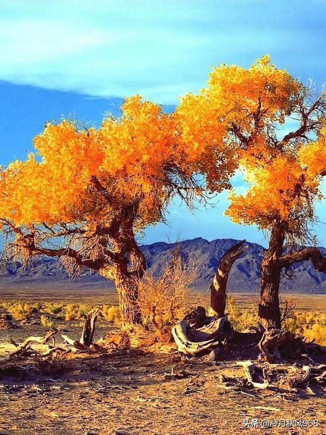 夕阳下的思绪——永恒的家国情怀