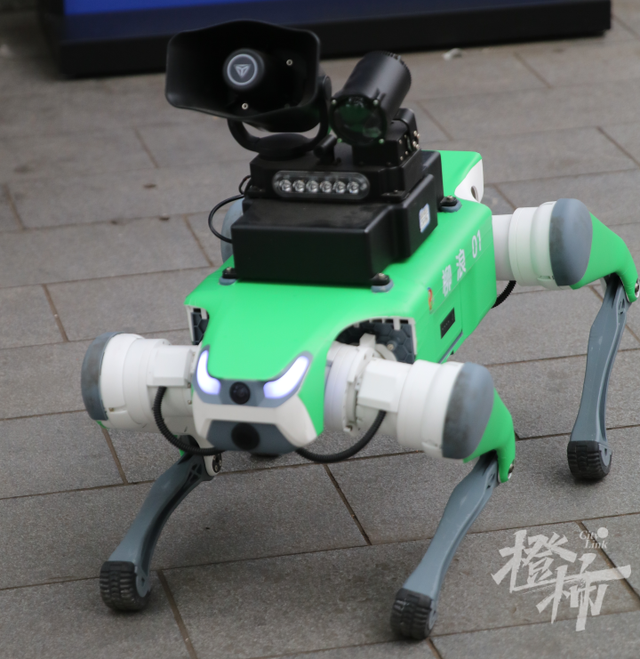 西湖景区“AI警队”首次集结，国庆假期，游客会在景区遇到哪些警用“黑科技”？