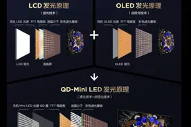没有光晕的Mini LED画质才能称为完美图片