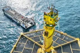 明星们“种草”的海鲜饺子，何以让人“一口沦陷”？图片