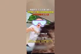 奥迪大佬高速别停他车，直接棍棒招呼 网友：有反转图片