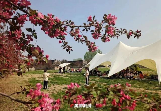清明小长假，去武清“撒野”！
