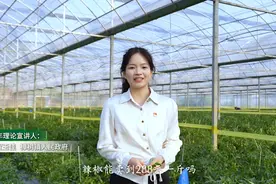 【“与理有岳·新思想青年说”】（第二辑）第九期：樟树港致富“椒香”曲图片