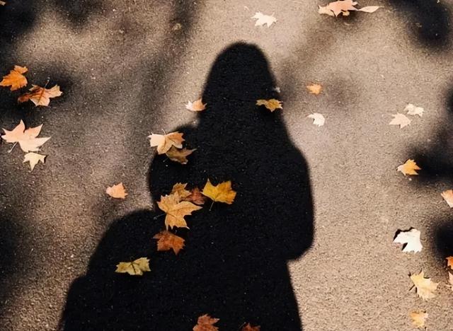 颠覆认知！10厘米小鸟竟有三层朋友圈，社交逻辑和人类神同步？